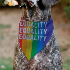 Pet Bandana - EQUALITY Blocks Rainbow/Blue/White