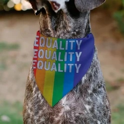 Pet Bandana - EQUALITY Blocks Rainbow/Blue/White