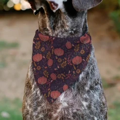 Pet Bandana - Fall Harvest Pumpkins and Flowers Collage Purples/Orange/Greens