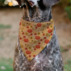 Pet Bandana - Fall Harvest Pumpkins and Flowers Collage Tan/Orange/Yellows