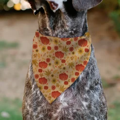 Pet Bandana - Fall Harvest Pumpkins and Flowers Collage Tan/Orange/Yellows