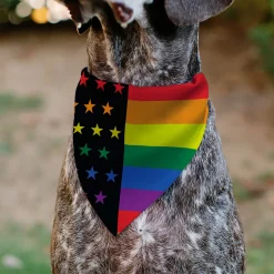 Pet Bandana - Flag American Pride Rainbow/Black