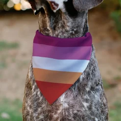 Pet Bandana - Flag Lesbian Five Stripe Oranges/White/Pinks