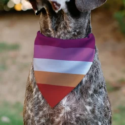 Pet Bandana - Flag Lesbian Five Stripe Oranges/White/Pinks
