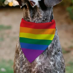 Pet Bandana - Flag Pride Rainbow