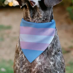 Pet Bandana - Flag Transgender Baby Blue/Baby Pink/White