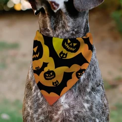 Pet Bandana - Halloween Bats and Jack-O-Lanterns Pumpkins Orange/Black