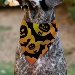 Pet Bandana - Halloween Bats and Jack-O-Lanterns Pumpkins Orange/Black