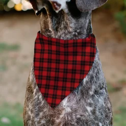 Pet Bandana - Holiday Pajama Plaid Red/Black