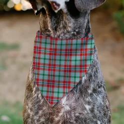 Pet Bandana - Holiday Pajama Plaid Beige/Red/Green