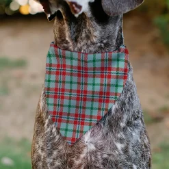 Pet Bandana - Holiday Pajama Plaid Beige/Red/Green