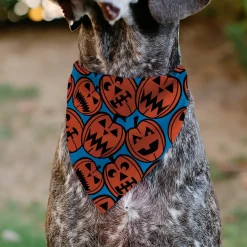 Pet Bandana - Jack-o'-Lanterns Blue
