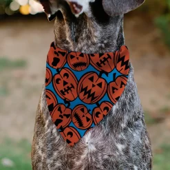Pet Bandana - Jack-o'-Lanterns Blue