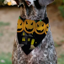 Pet Bandana - Jack-o'-Lanterns/Haunted House Black/Yellow