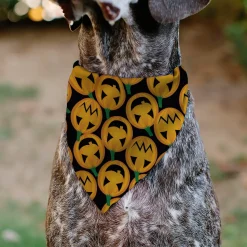 Pet Bandana - Jack-o'-Lantern Collage Black
