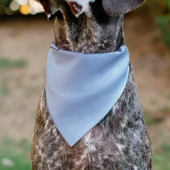 Pet Bandana - Lilo & Stitch Stitch Winking Pose and Polka Dots White/Blue