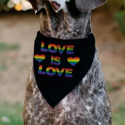 Pet Bandana - LOVE IS LOVE/Heart Black/Rainbow