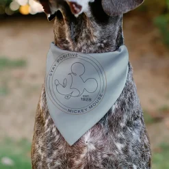 Pet Bandana - Mickey Mouse STAY POSITIVE Line White/Multi Color