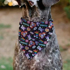 Pet Bandana - Mickey Mouse Pride Poses Rainbow Collage Black