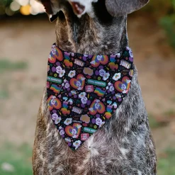 Pet Bandana - Mickey Mouse Pride Poses Rainbow Collage Black