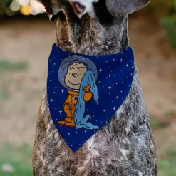 Pet Bandana - Peanuts Astronaut Linus Security Blanket Space Pose Blue