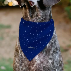 Pet Bandana - Peanuts Astronaut Linus Security Blanket Space Pose Blue