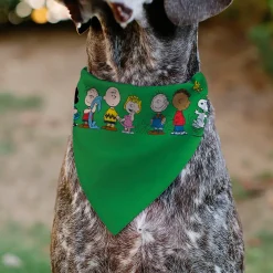 Pet Bandana - Peanuts Gang Group Pose Green
