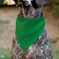 Pet Bandana - Peanuts Gang Group Pose Green