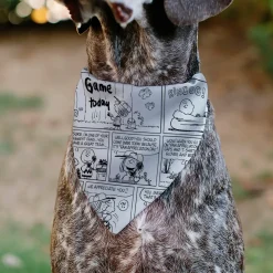 Pet Bandana - PEANUTS Good Ol Charlie Brown Comic Scene Blocks White/Black