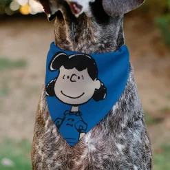 Pet Bandana - Peanuts Lucy van Pelt Smiling Face Pose Blue