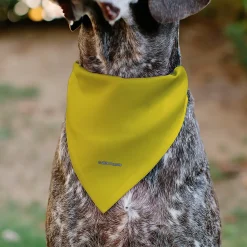 Pet Bandana - Peanuts Woodstock Pose Yellow