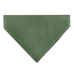 Pet Bandana - PET ME Text and Paw Olive/Pinks/Brown