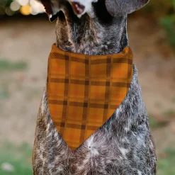 Pet Bandana - Plaid Orange/Brown