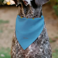 Pet Bandana - RUGRATS Four Character Group Pose and Title Logo Light Blue