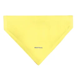 Pet Bandana - SpongeBob SquarePants NORMAL IS BORING Pose Yellows