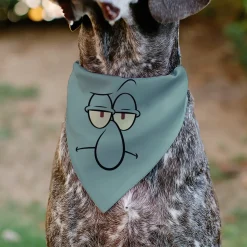 Pet Bandana - SpongeBob SquarePants Squidward Character Close-Up Blue