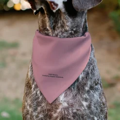 Pet Bandana - SpongeBob SquarePants Patrick Star Character Close-Up Pink