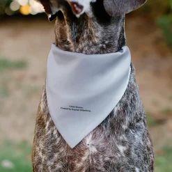 Pet Bandana - SpongeBob SquarePants Tie Outfit Character Close-Up