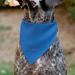 Pet Bandana - Star Trek Original Series Blue Uniform Print