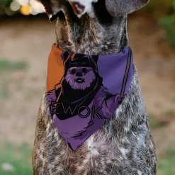 Pet Bandana - Star Wars EWOK Text and Wicket Pop Art Pose Orange/Purples/Black