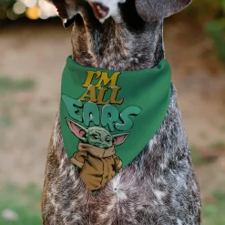 Pet Bandana - Star Wars Grogu I'M ALL EARS Pose Green
