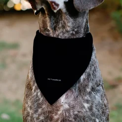 Pet Bandana - Star Wars Grogu Baby Yoda Smiling Impression Painting Black