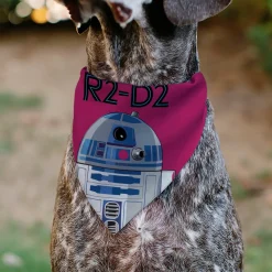 Pet Bandana - Star Wars R2-D2 Text and Pop Art Pose Red/Black/Blue