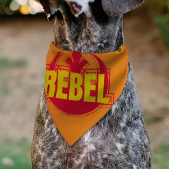 Pet Bandana - Star Wars REBEL Text and Rebel Alliance Insignia Orange/Red/Yellow
