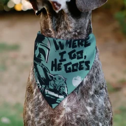 Pet Bandana - Star Wars The Madalorian and Grogu WHERE HE GOES I GO Pose Blue/Black