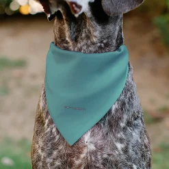 Pet Bandana - Star Wars The Madalorian and Grogu WHERE HE GOES I GO Pose Blue/Black