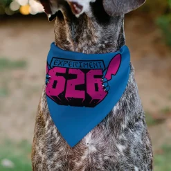 Pet Bandana - Stitch EXPERIMENT 626 Logo Blue/Pink