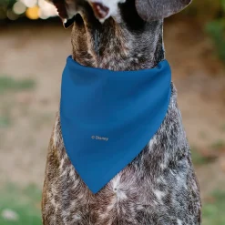 Pet Bandana - Stitch EXPERIMENT 626 Logo Blue/Pink