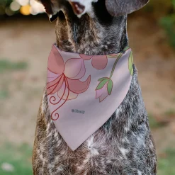 Pet Bandana - Tangled Rapunzel and Pascal Flowers Pose Pinks