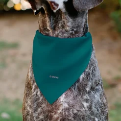 Pet Bandana - The Lion King Timon CHILL VIBES Hula Pose Blue/Multi Color